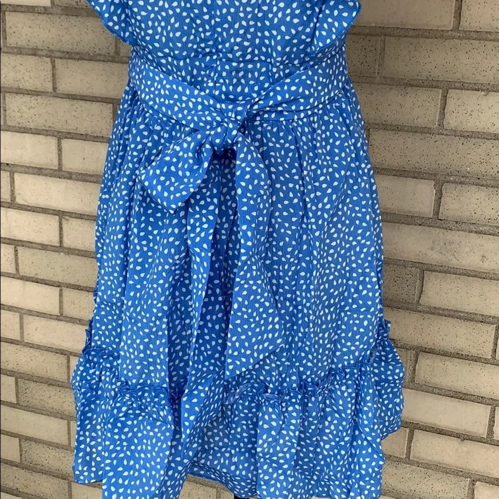 Blue Flutter Sleeve Frill Hemline Trim Dalmatian Dress - Picture 9 of 14